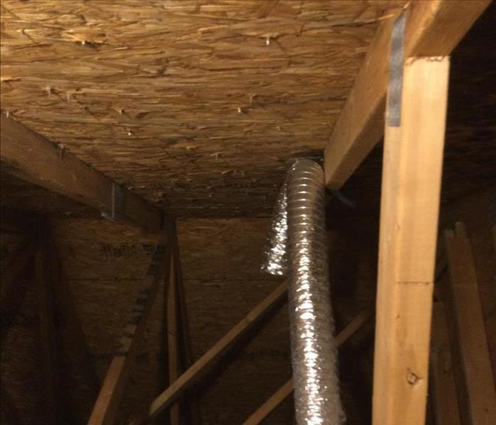 cleaned up mold in attic